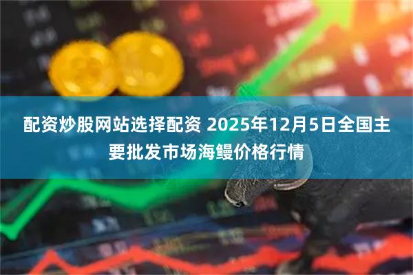 配资炒股网站选择配资 2025年12月5日全国主要批发市场海鳗价格行情
